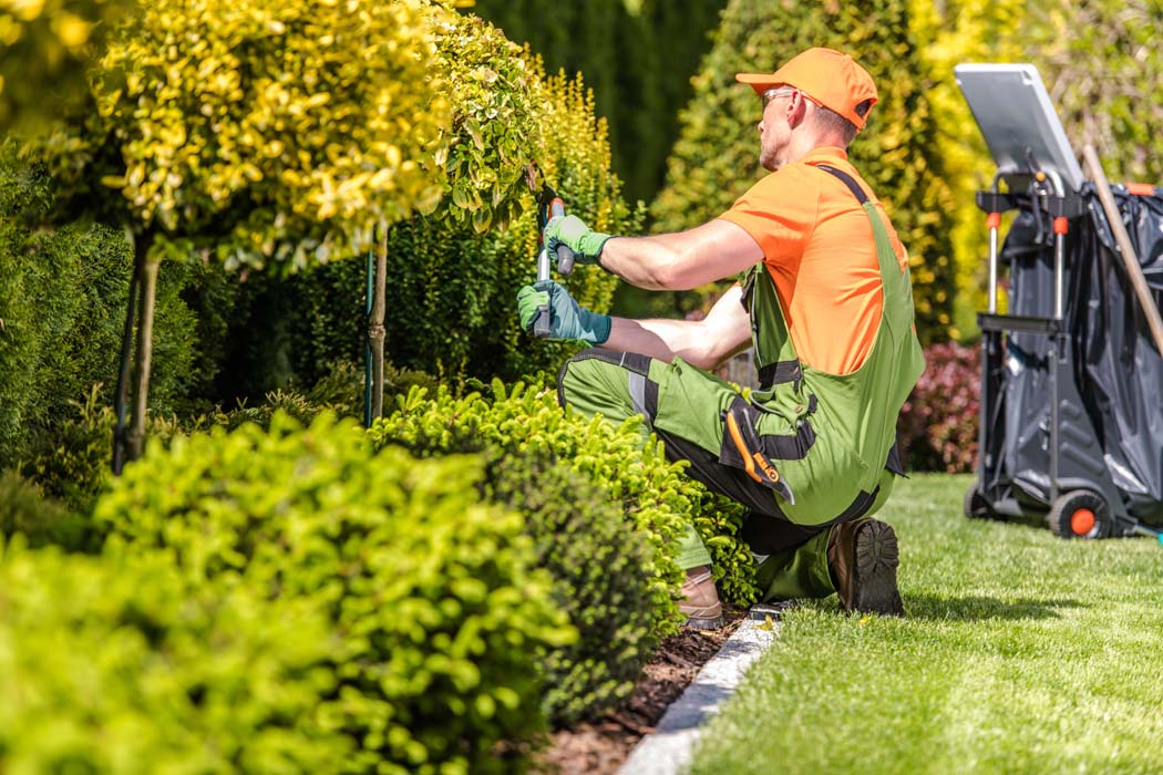Entretenir efficacement ses espaces extérieurs toute l’année