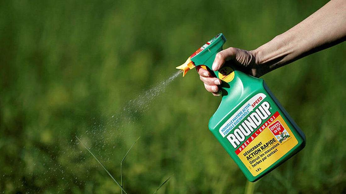 Roundup : une solution efficace pour un désherbage maîtrisé